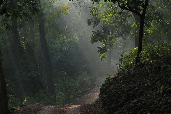 করোনার ভয়ে গ্রামে ঢুকতে বা'ধা, গলায় ফাঁ'স নিয়ে নবদম্পতির আত্মহ'ত্যা