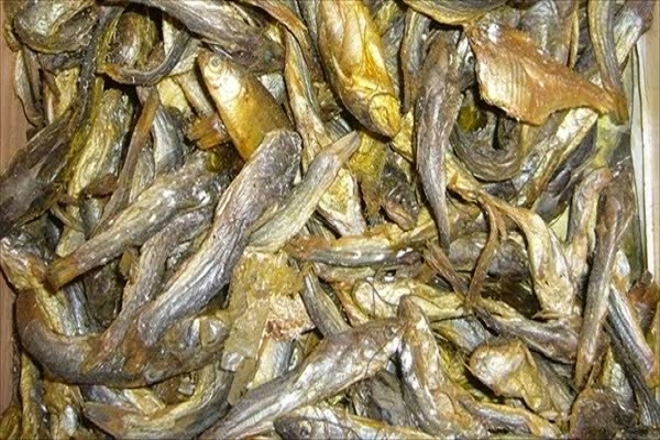 করোনায় নাকি দারুণ কাজ করছে এই শুঁটকি!