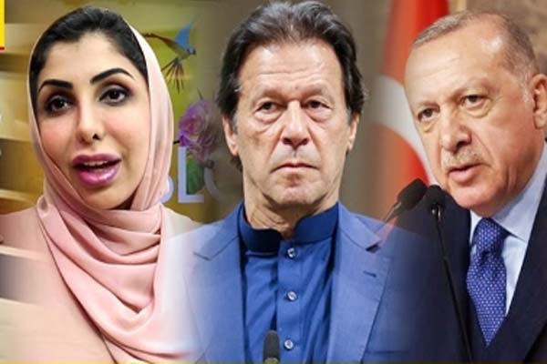 ইসলামিক দেশগুলির কাছে পাকিস্তান প্রচার চালাচ্ছে 'ভারত মুসলিম বিদ্বেষী'