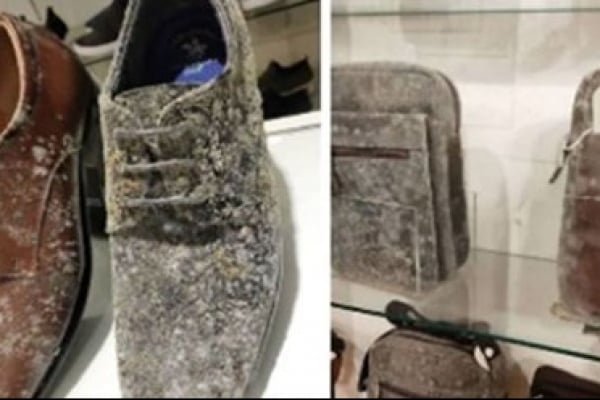 ৫০ দিন পর শপিংমল খুলে চমকে উঠলেন মালিক!