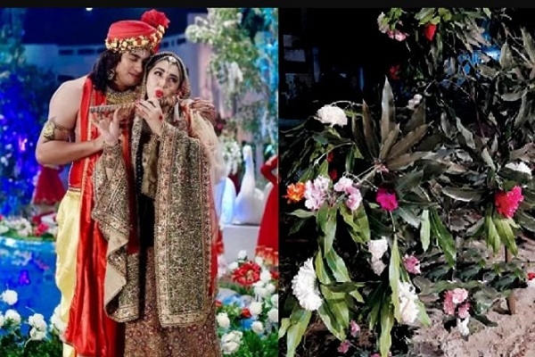 এফডিসির শুটিংয়ে আমগাছে ধরেছে জবা ফুল!