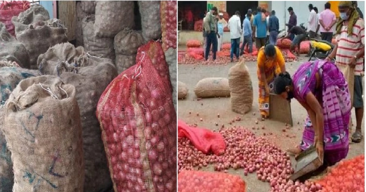 যেখানে মাত্র ২ টাকা কেজি ধরে বিক্রি হচ্ছে পেঁয়াজ! 