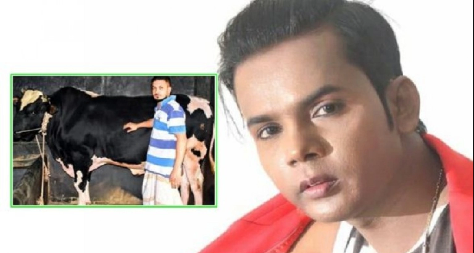আমাকে ভালোবেসেই গরুর নাম রেখেছে : হিরো আলম