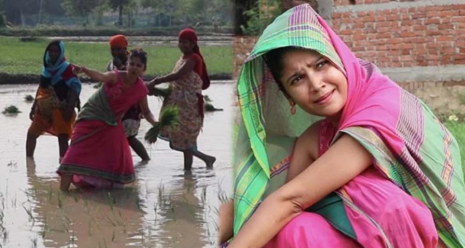 অভিনয় ছেড়ে চাষবাদ করছেন তুমুল জনপ্রিয় অভিনেত্রী!