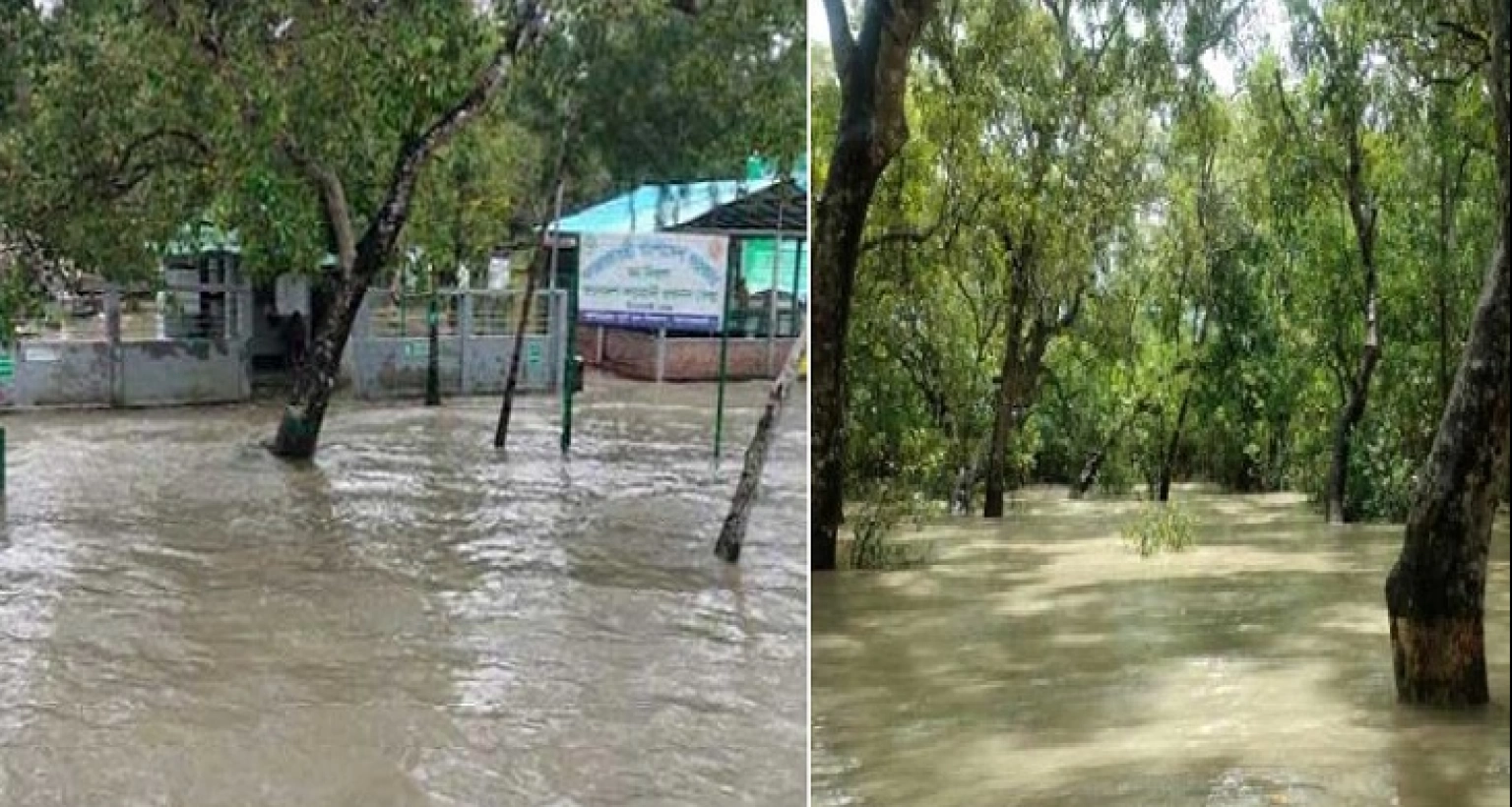 ৬-৭ ফুট উচ্চতার জলোচ্ছ্বাসে তলিয়ে গেছে গোটা সুন্দরবন!