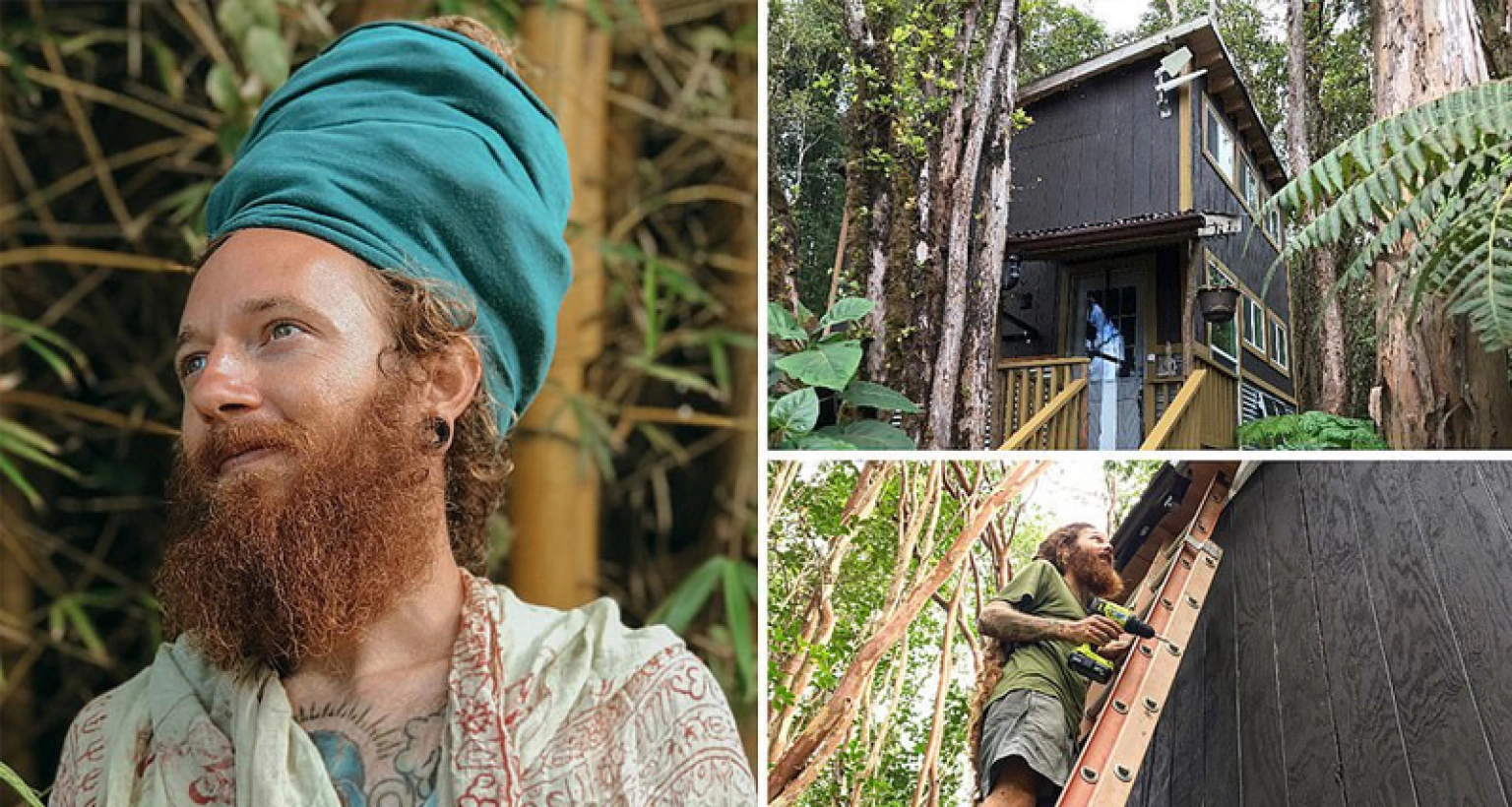 ৯টা-৫টা চাকরি করে বিরক্ত, সব ছেড়ে জঙ্গলে তৈরি করলেন ঘর