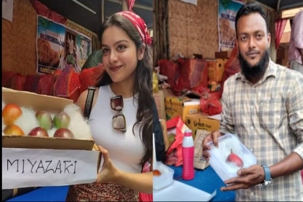 প্রতিটি আম ১০ হাজার টাকা করে বিক্রি করেছি: শওকত হোসেন