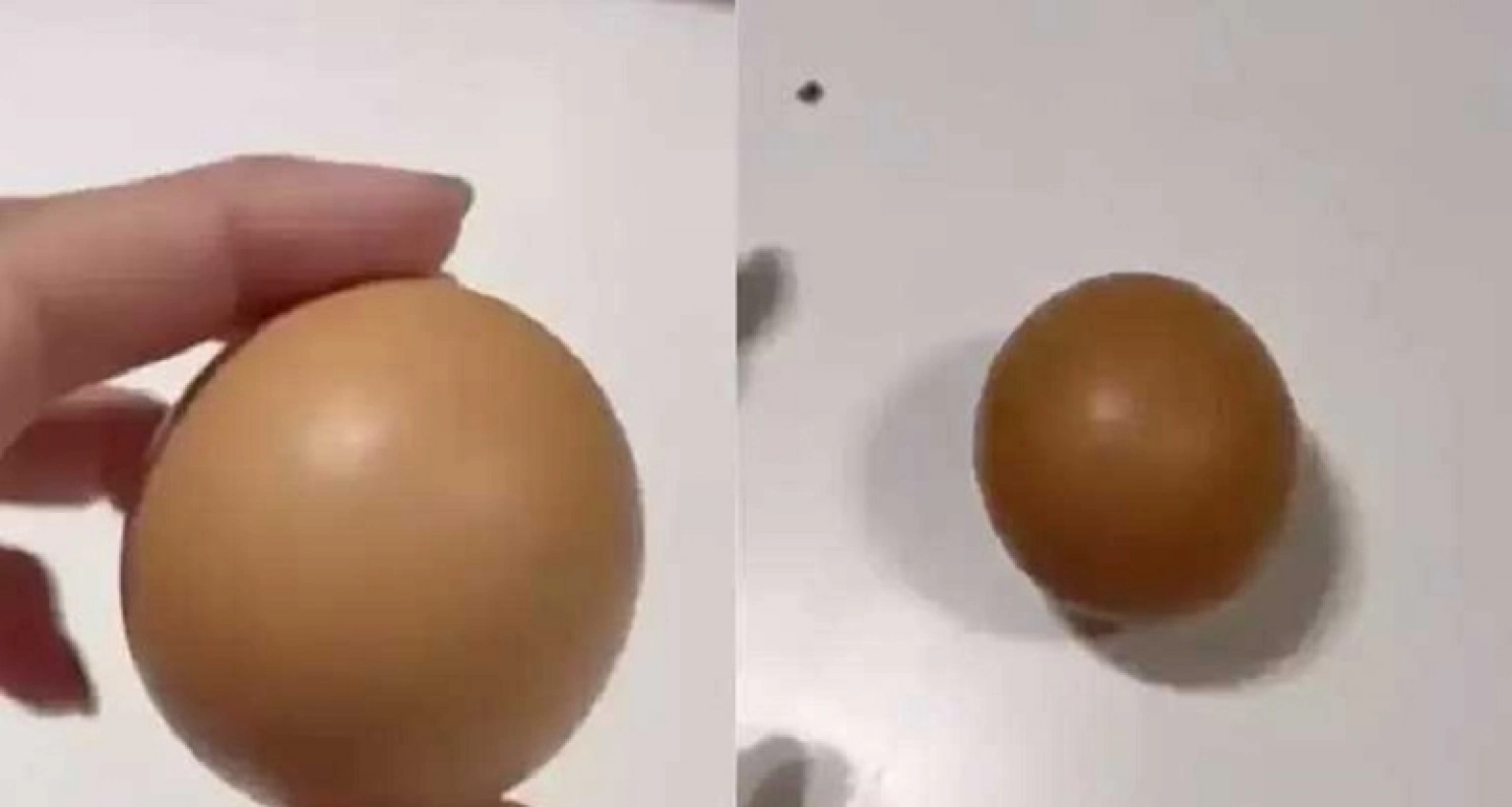 এক লাখ ৫০ হাজার টাকায় বিক্রি হলো একটি ডিম