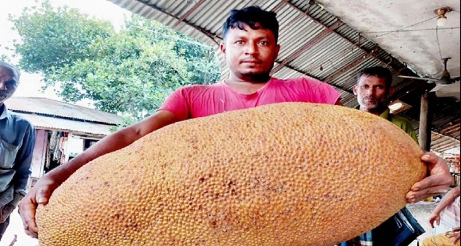 এত্ত বড় কাঁঠাল! ওজন জানলে অবাক হবেন!