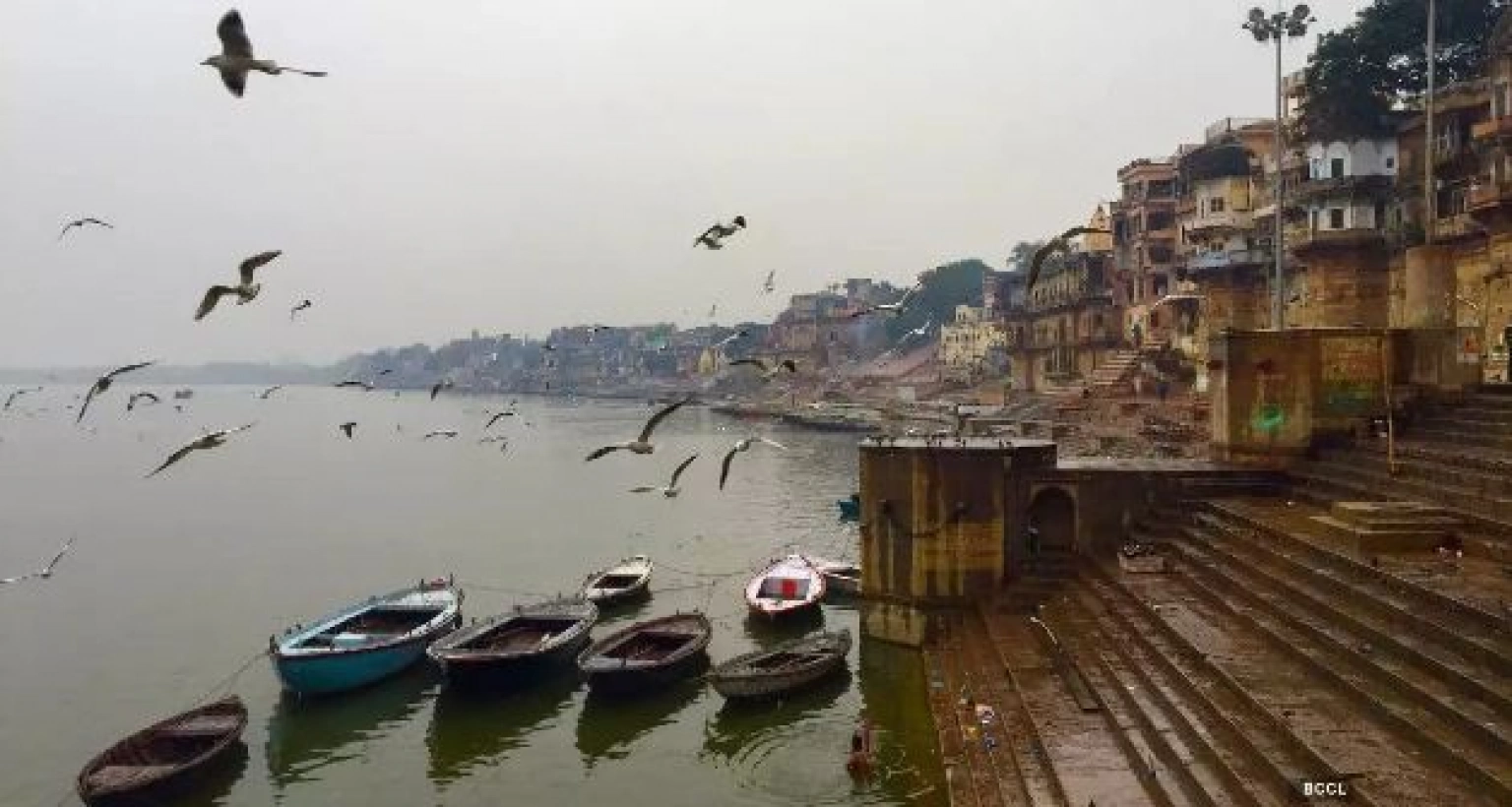 চিন্তিত ভারতীয় বিজ্ঞানীরা, যা পাওয়া গেছে গঙ্গা নদীতে!