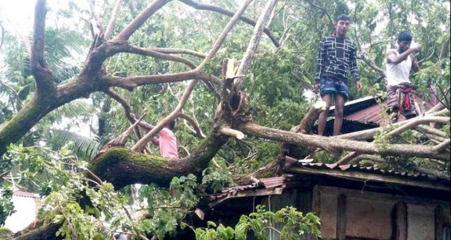 ঘুর্ণিঝড়ের তাণ্ডবে বিধ্বস্ত তিন শতাধিক ঘরবাড়ি, ফসলের ব্যাপক ক্ষতি!