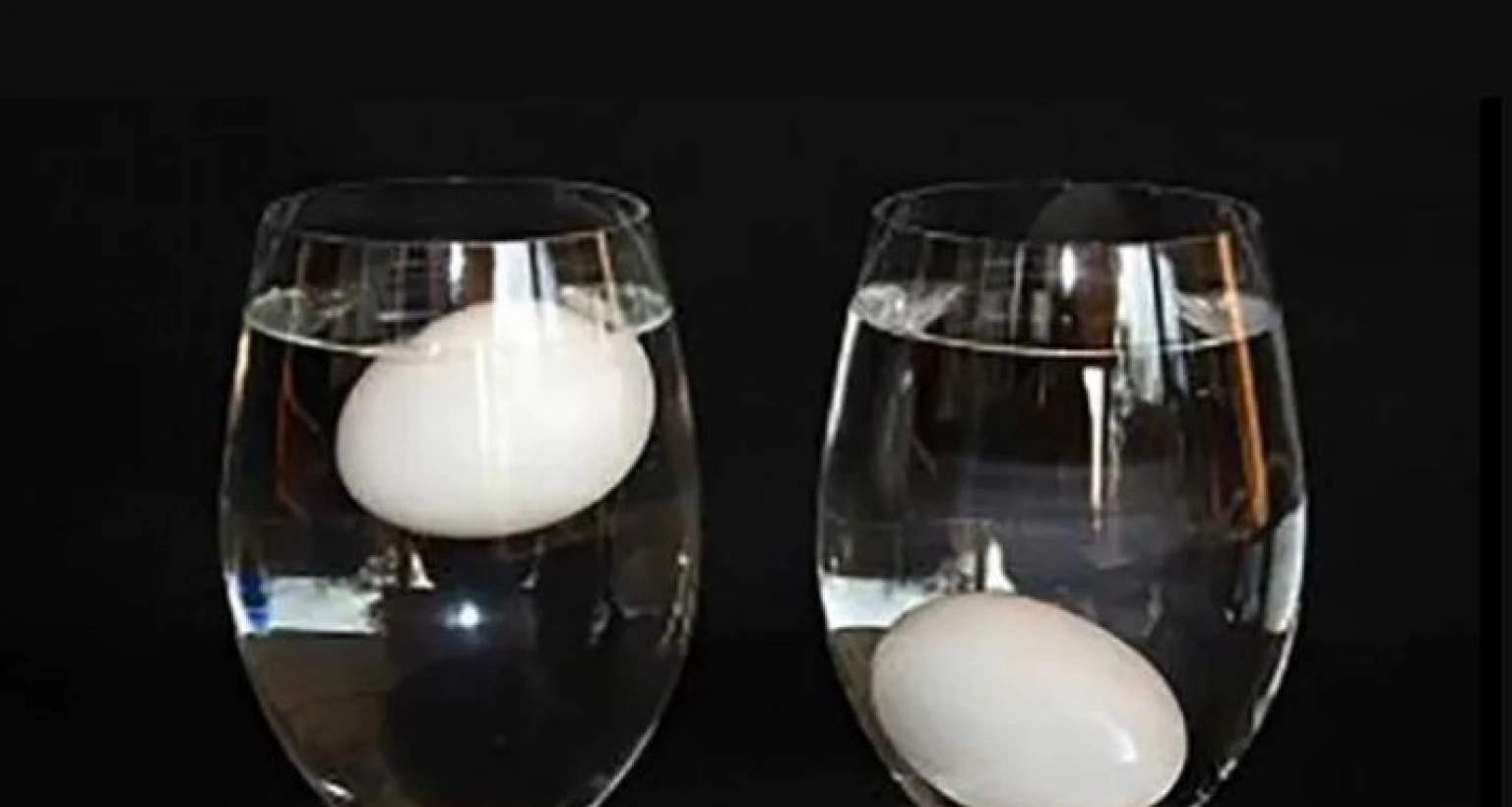 Яйца на поверхности воды. Эксперимент с яйцом и соленой водой. Яйцо в воде. Опыт с яйцом и соленой водой. Яйцо в стакане.