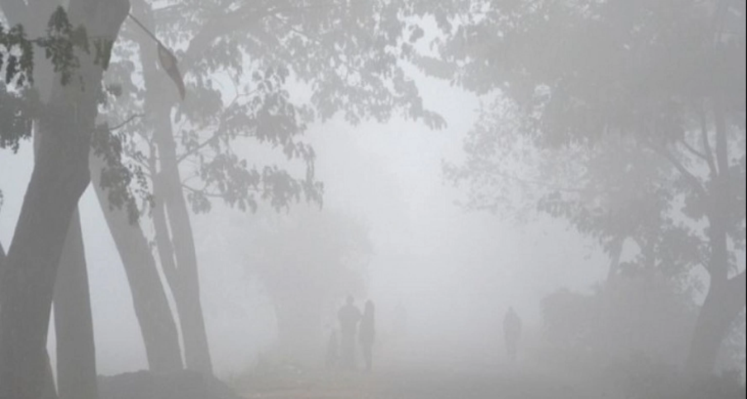 জানেন হঠাৎ কত ডিগ্রিতে নামলো কুড়িগ্রামের তাপমাত্র?