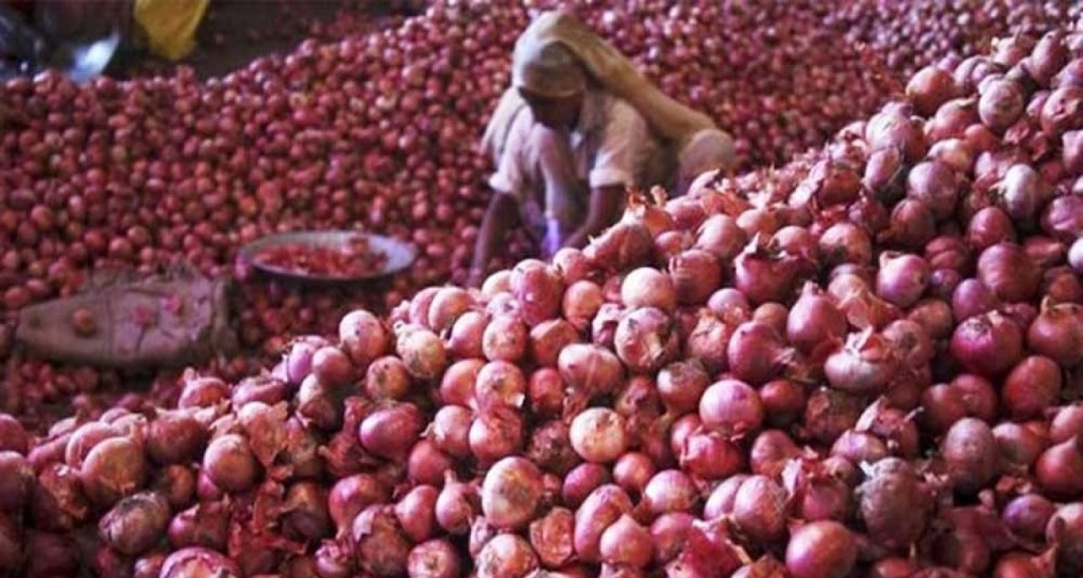 এবার একলাফে পেঁয়াজের দাম কেজিতে কমল যত টাকা