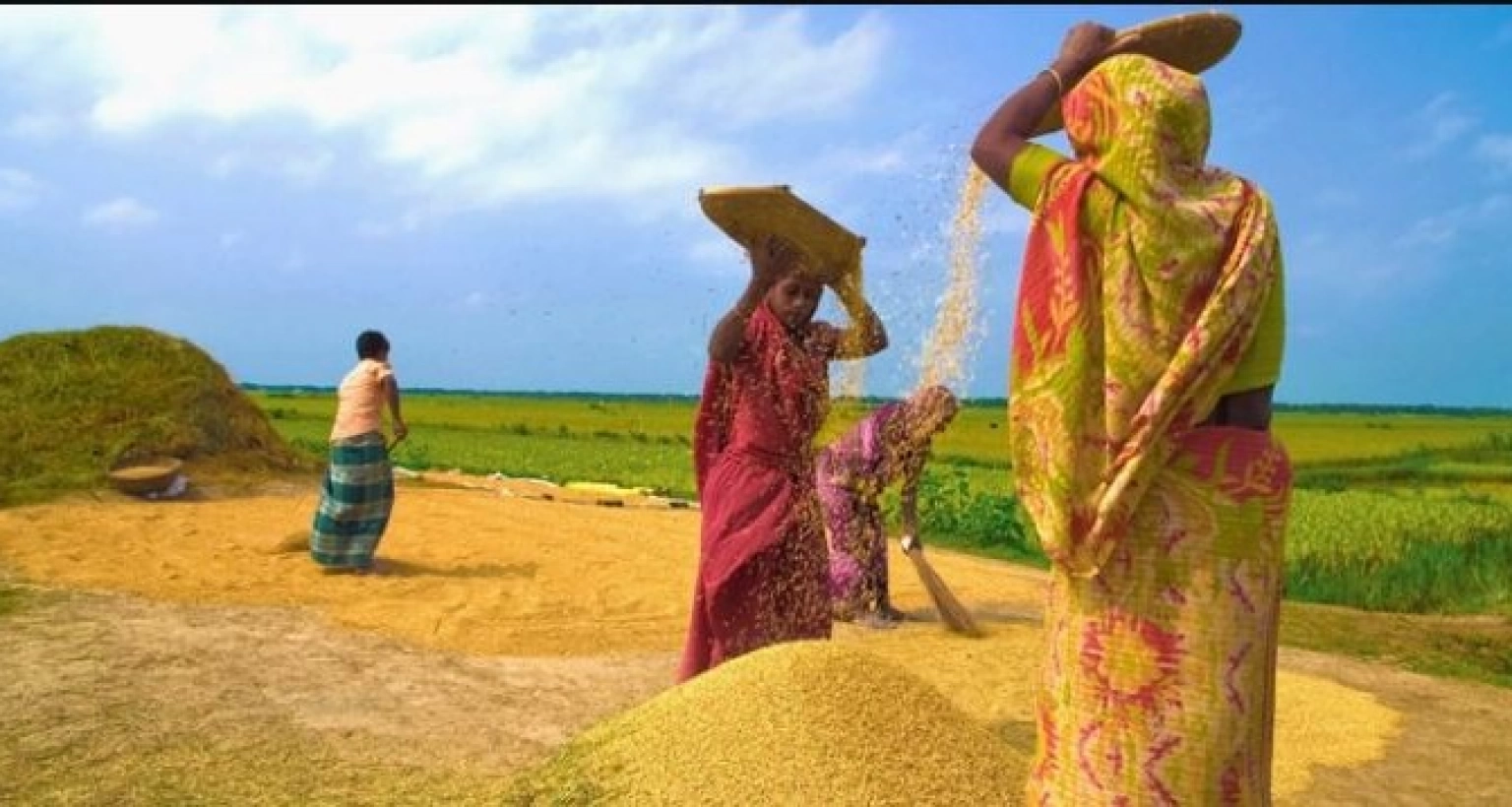 কৃষাণীরা ব্যস্ত নতুন ধানের পিঠা-পুলি উৎসবে