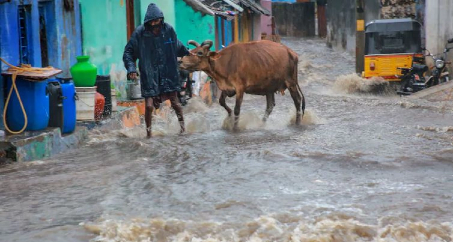 মুষলধারে বৃষ্টির কারণে তামিলনাড়ুতে বন্যা, বন্ধ স্কুল-কলেজ