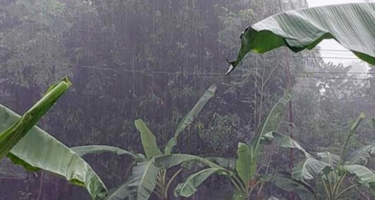 কাঁপানো শীতে হঠাৎ ভারি বৃষ্টি হচ্ছে যেখানে