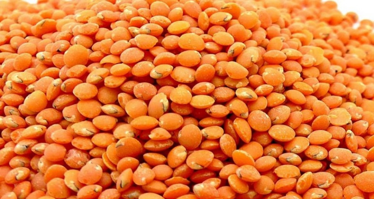 মসুর ডাল নিয়ে সুখবর