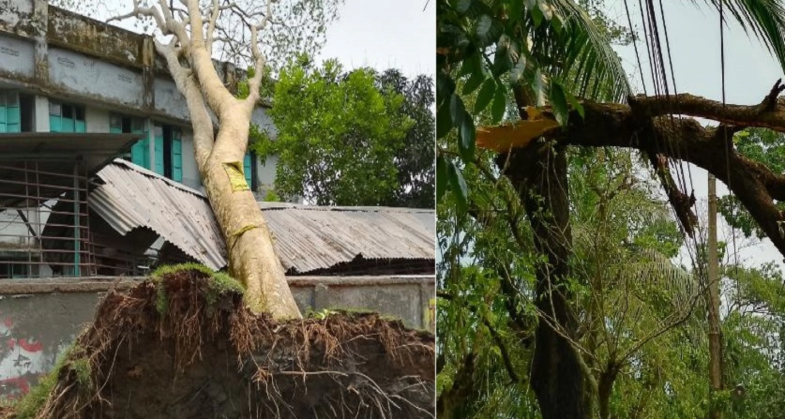 কালবৈশাখী ও বজ্রপাতে ৯ জেলায় ১৩ জনের মৃত্যু, লন্ডভন্ড যে এলাকা