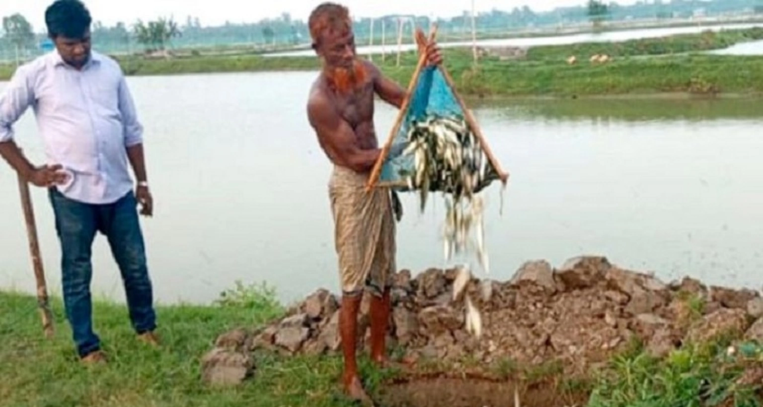 তীব্র গরমে মরে যাচ্ছে মাছ, দিশেহারা মৎস্যচাষিরা