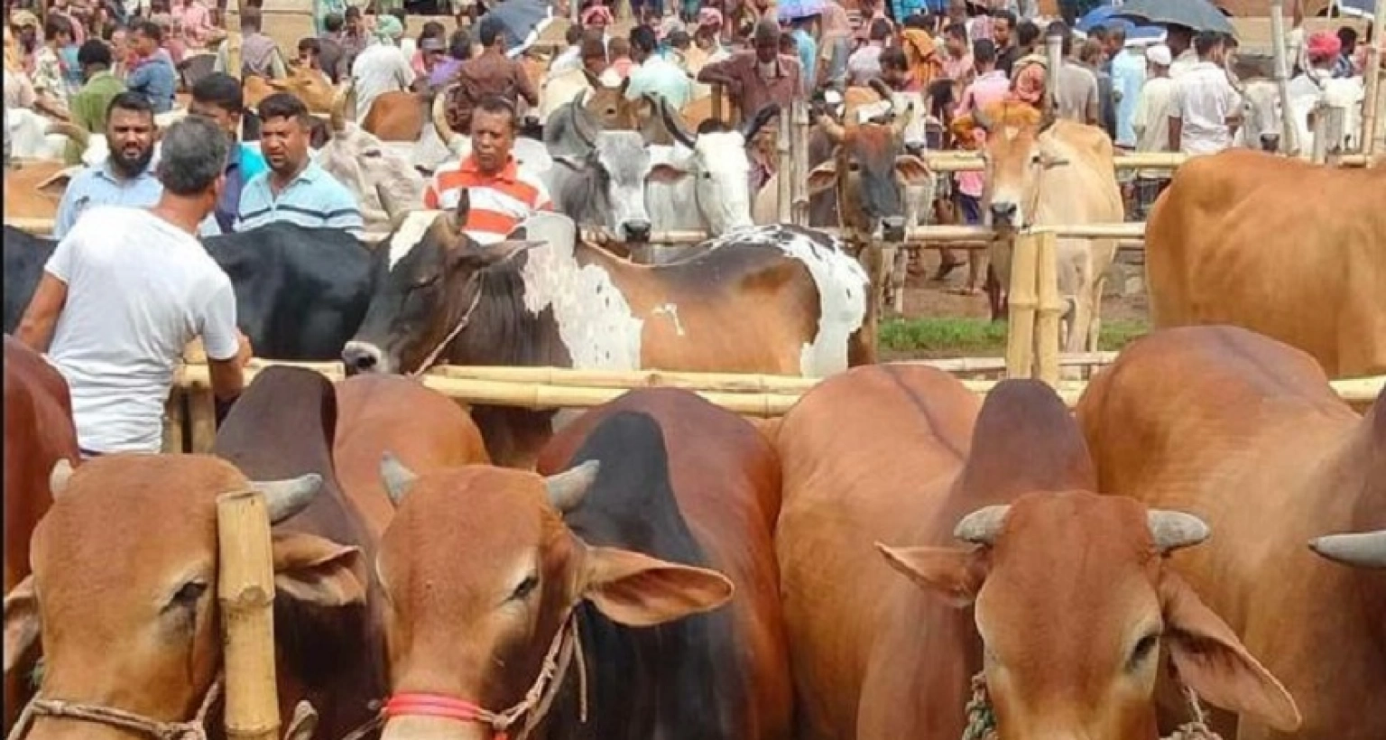 ২ ধরনের মানুষকে শরিক করলে কোরবানি হবে না