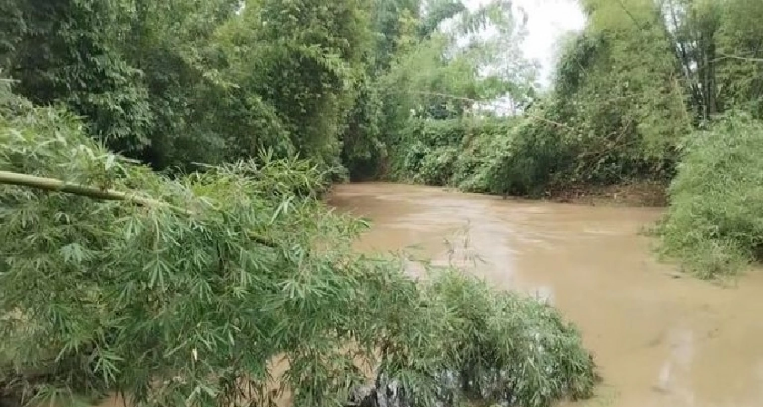 নানি-নাতিকে ভাসিয়ে নিয়ে গেল খালের স্রোত!