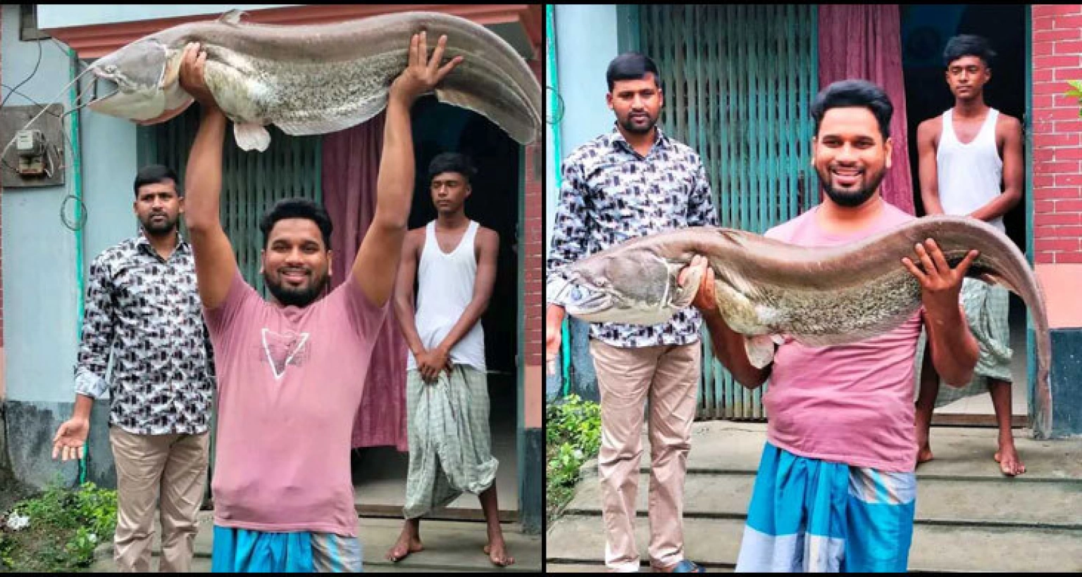 ধরা পড়লো ১৮ কেজি ওজনের বোয়াল, যত টাকায় বিক্রি