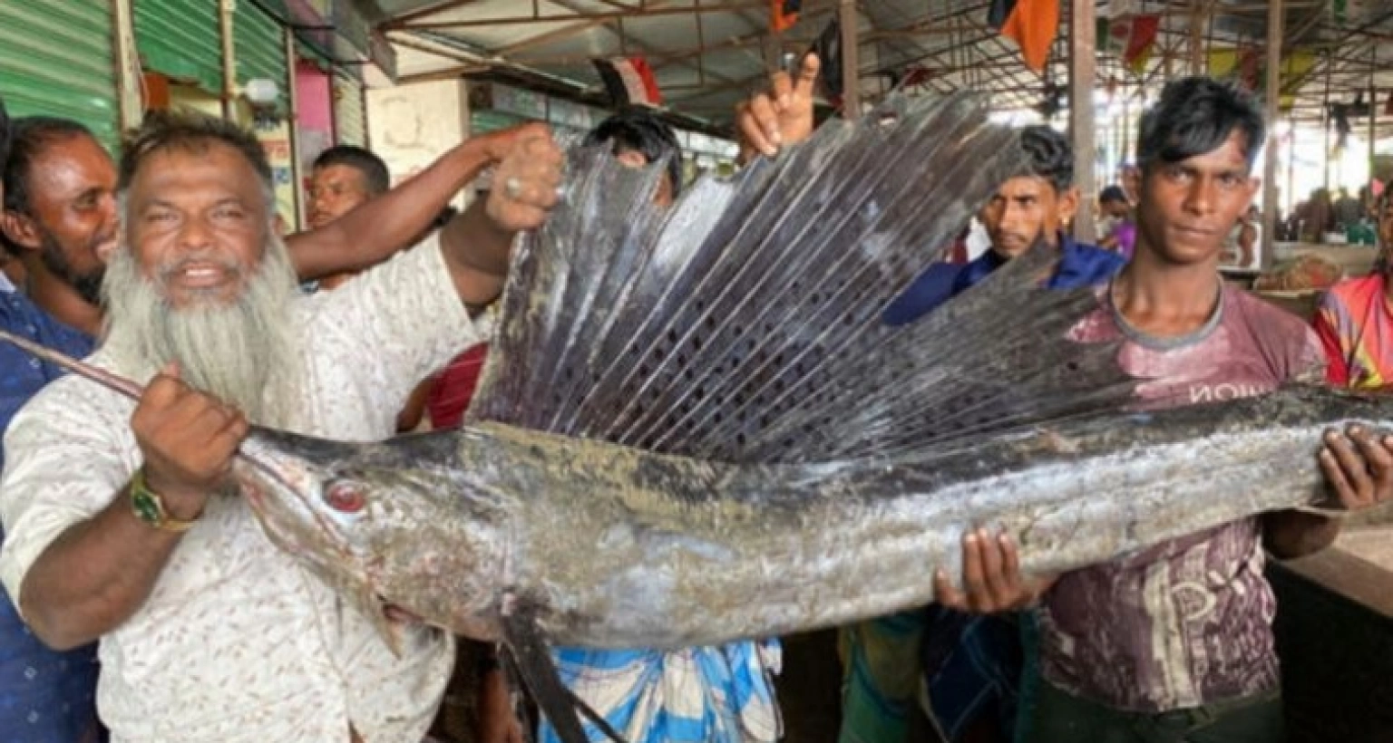 খেতে অত্যন্ত সুস্বাদু, এই মাছটি দৌড়ায় ঘণ্টায় ১১০ কিমি বেগে