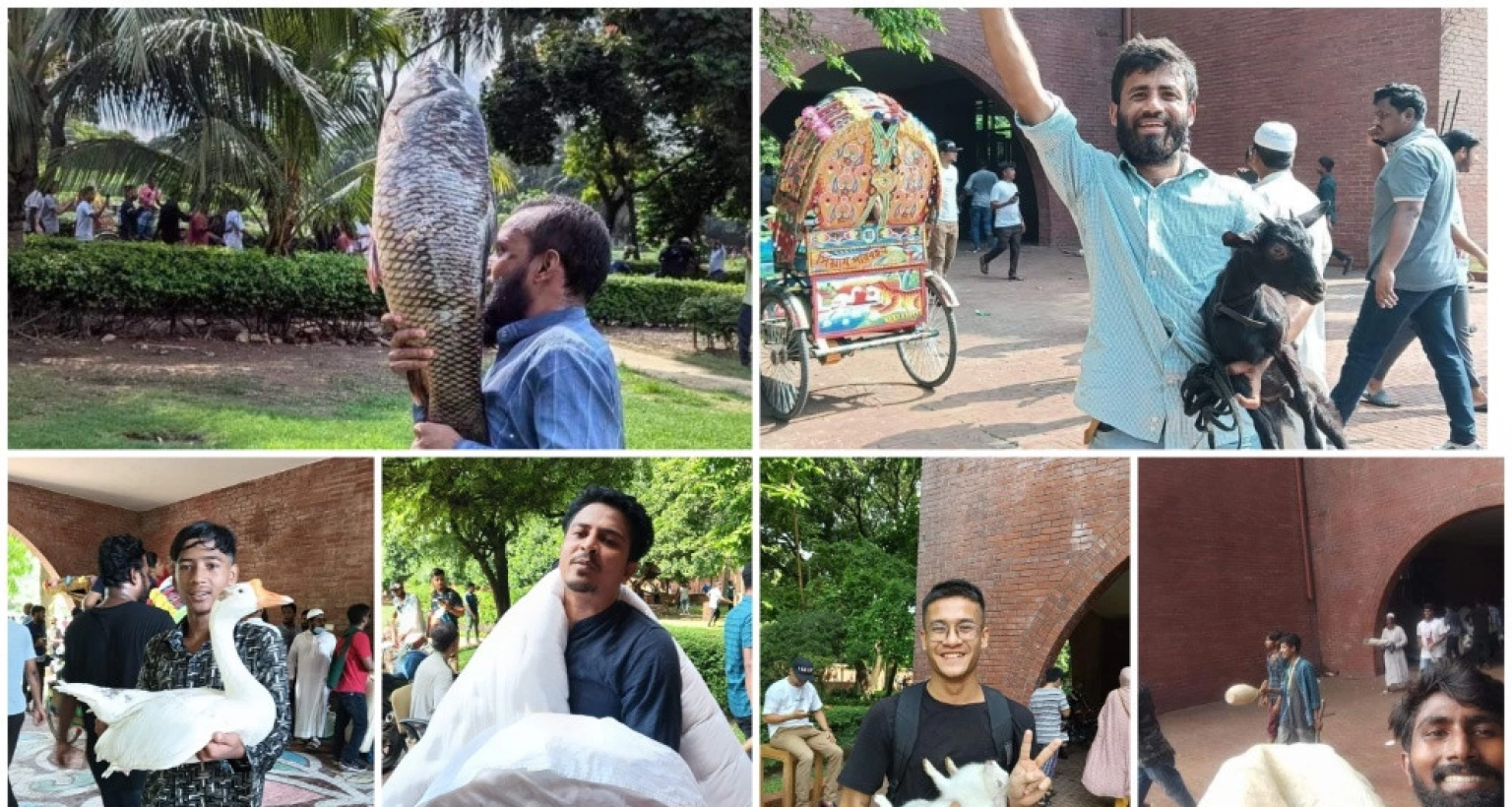 গণভবন থেকে যে যা পারছে নিয়ে যাচ্ছে