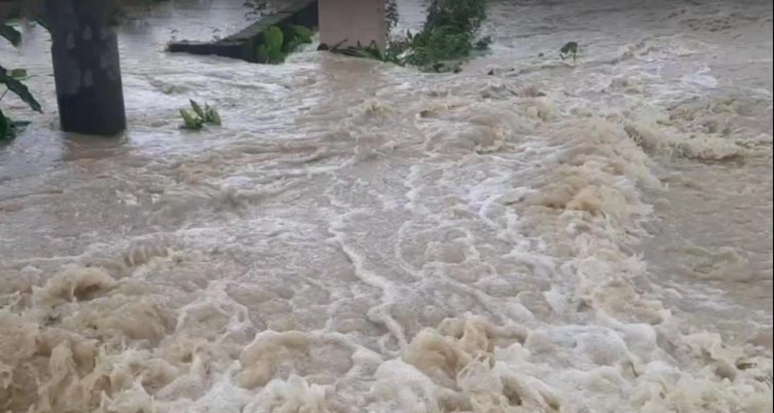 ফরিদপুরের সালথা ও নগরকান্দায় নদ-নদী ও খাল-বিলে হু হু করে বাড়ছে পানি