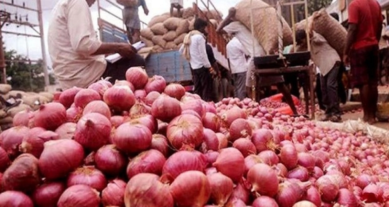 এবার আরেক নতুন উদ্যোগ পেঁয়াজের দাম কমাতে