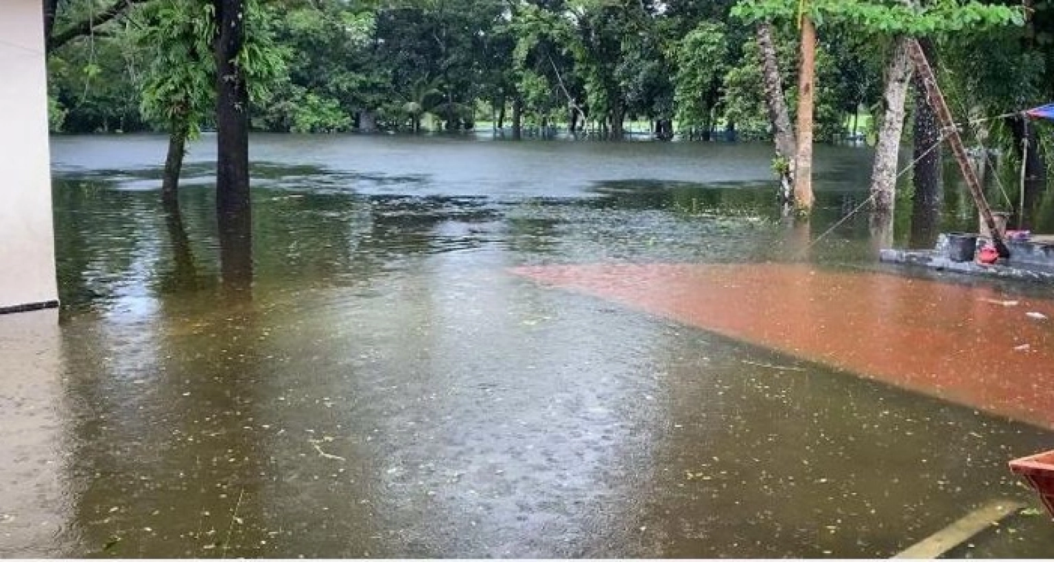 দুঃসংবাদ, বন্যার শঙ্কা যে ৪ জেলায়