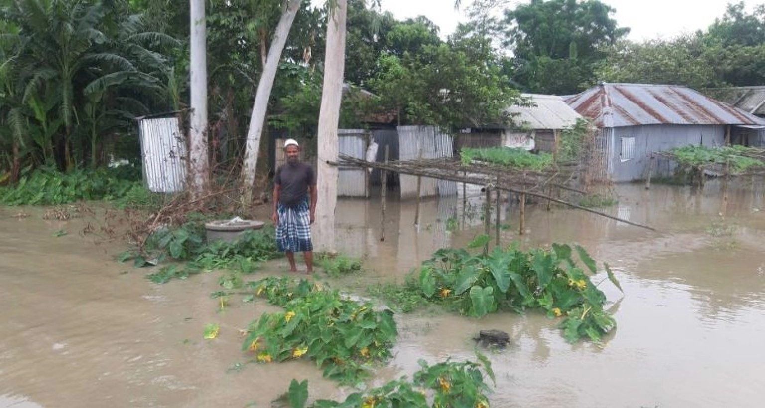 ঘরবাড়িতে প্রবেশ করেছে বন্যার পানি, তলিয়ে গেছে শতশত হেক্টর জমির ফসল