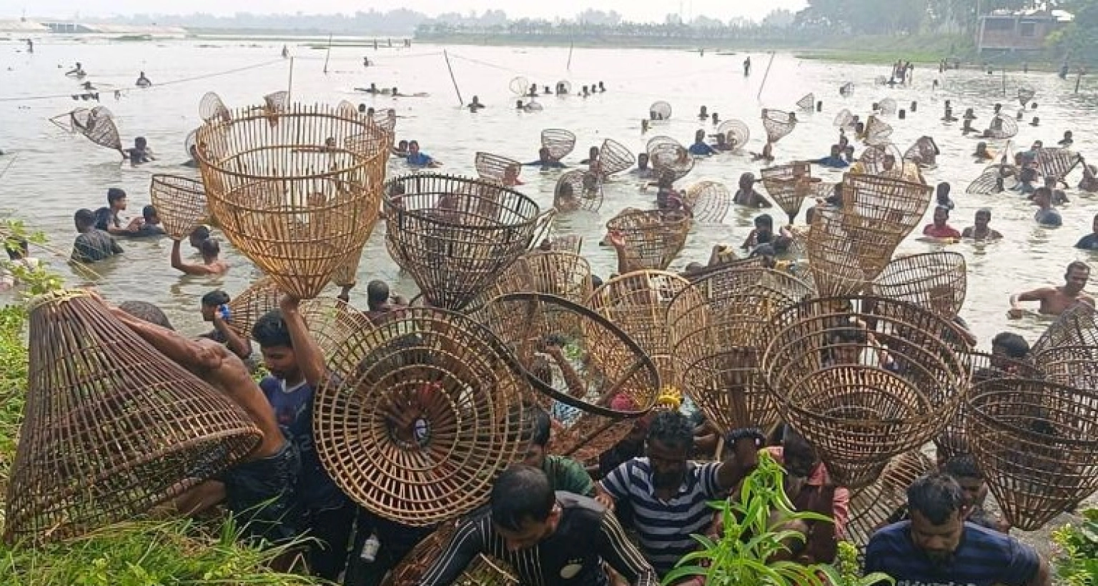 মাছশূন্য চলনবিল, খালি হাতেই ফিরলেন ৫ শতাধিক শৌখিন মাছ শিকারি!