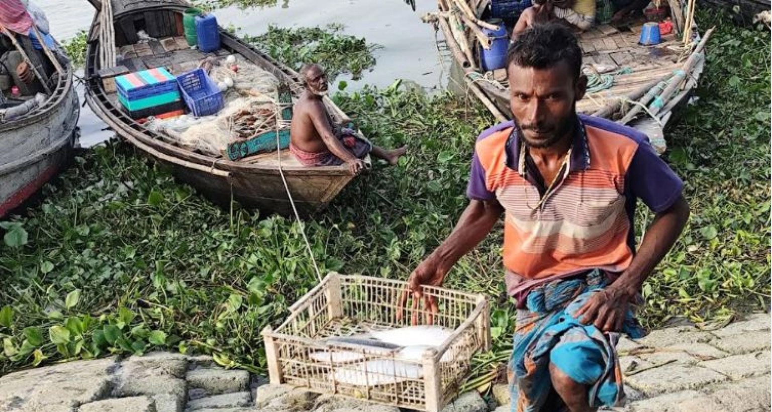 কেমন ধরা পড়ছে ইলিশ? যা জানালেন জেলেরা