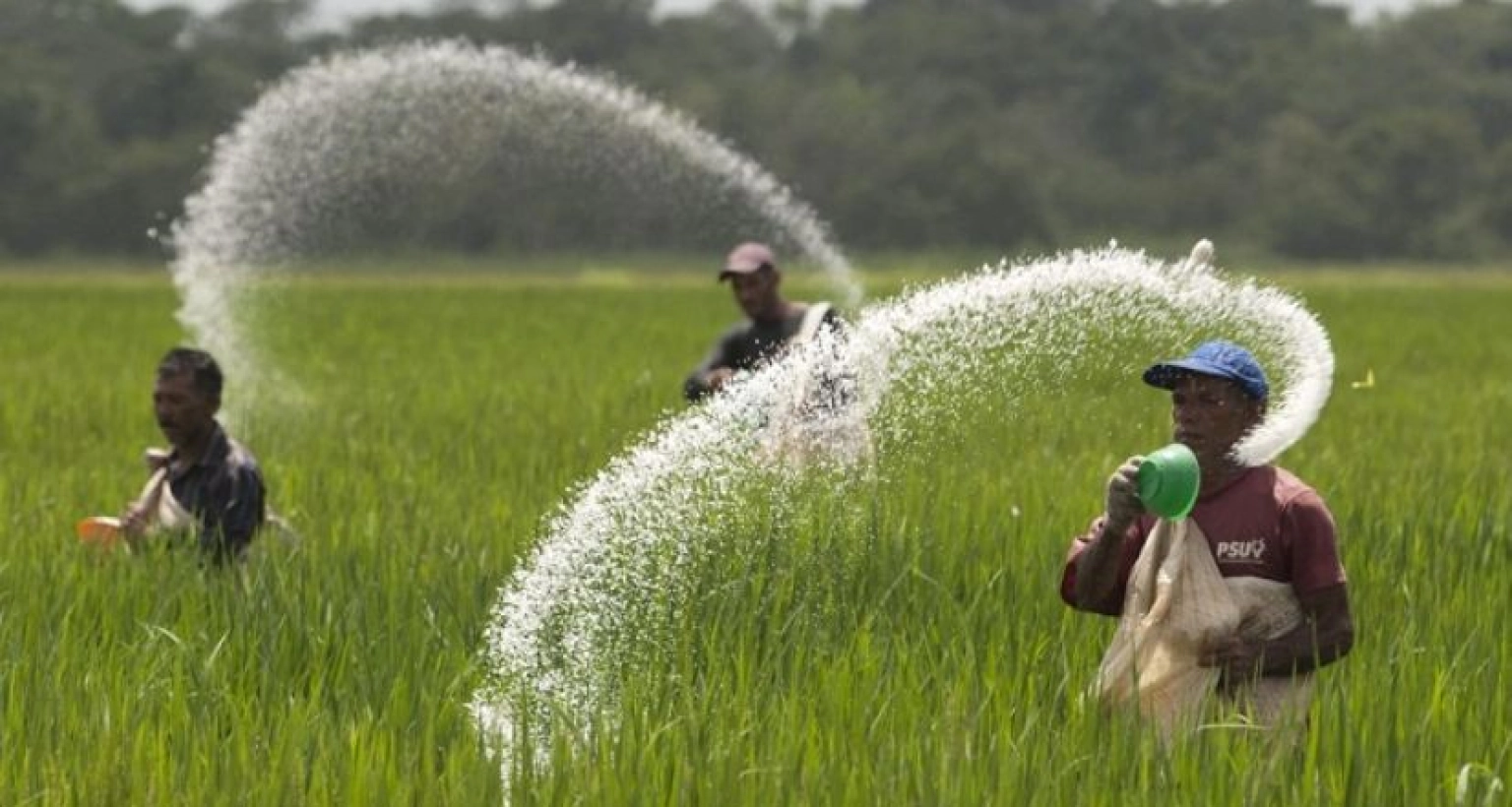 সুখবর সার ইস্যুতে