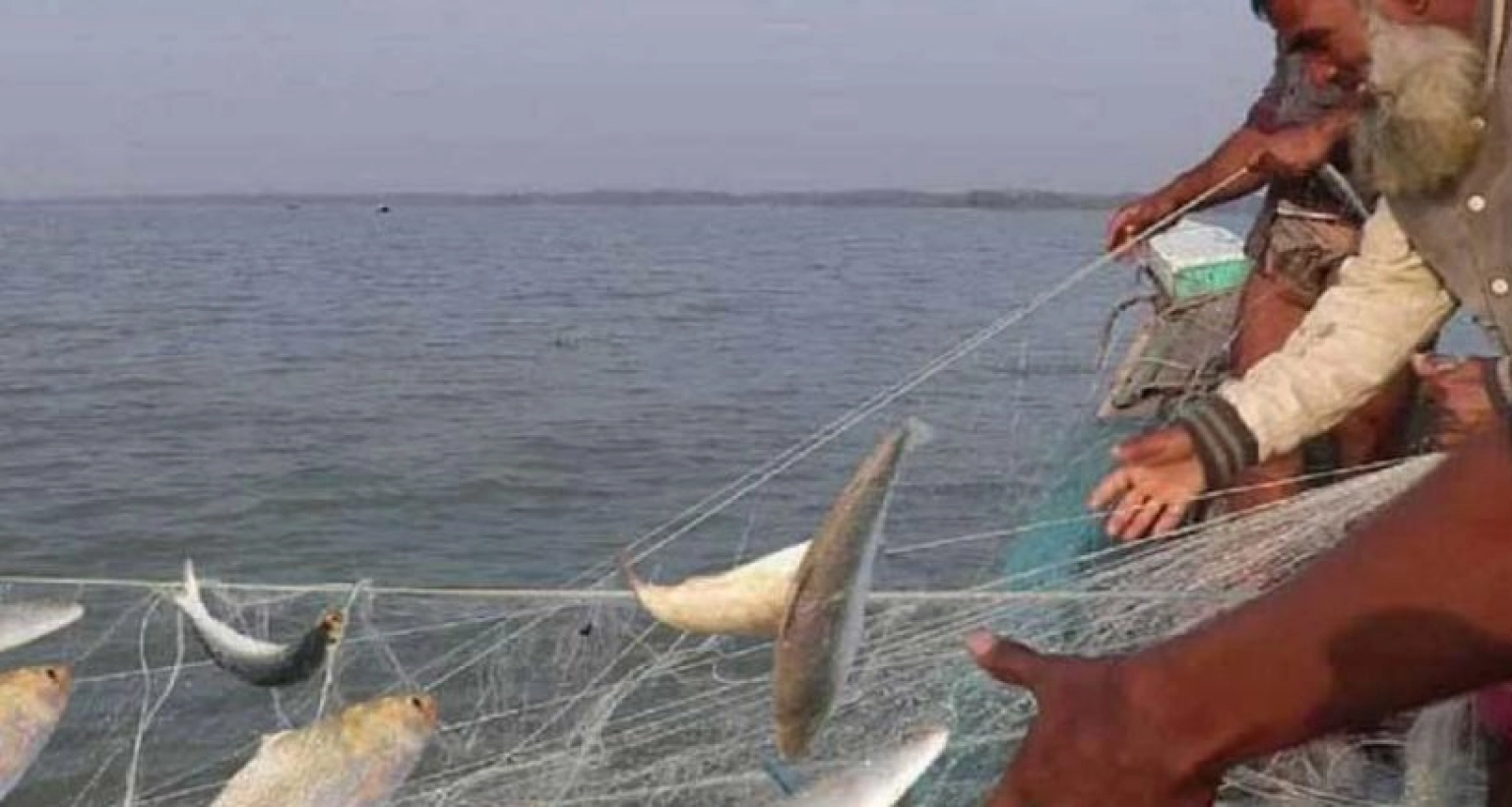 আগে কখনও যা ঘটেনি এবার তা-ই হচ্ছে, দারুণ খুশি চাঁদপুরের জেলেরা