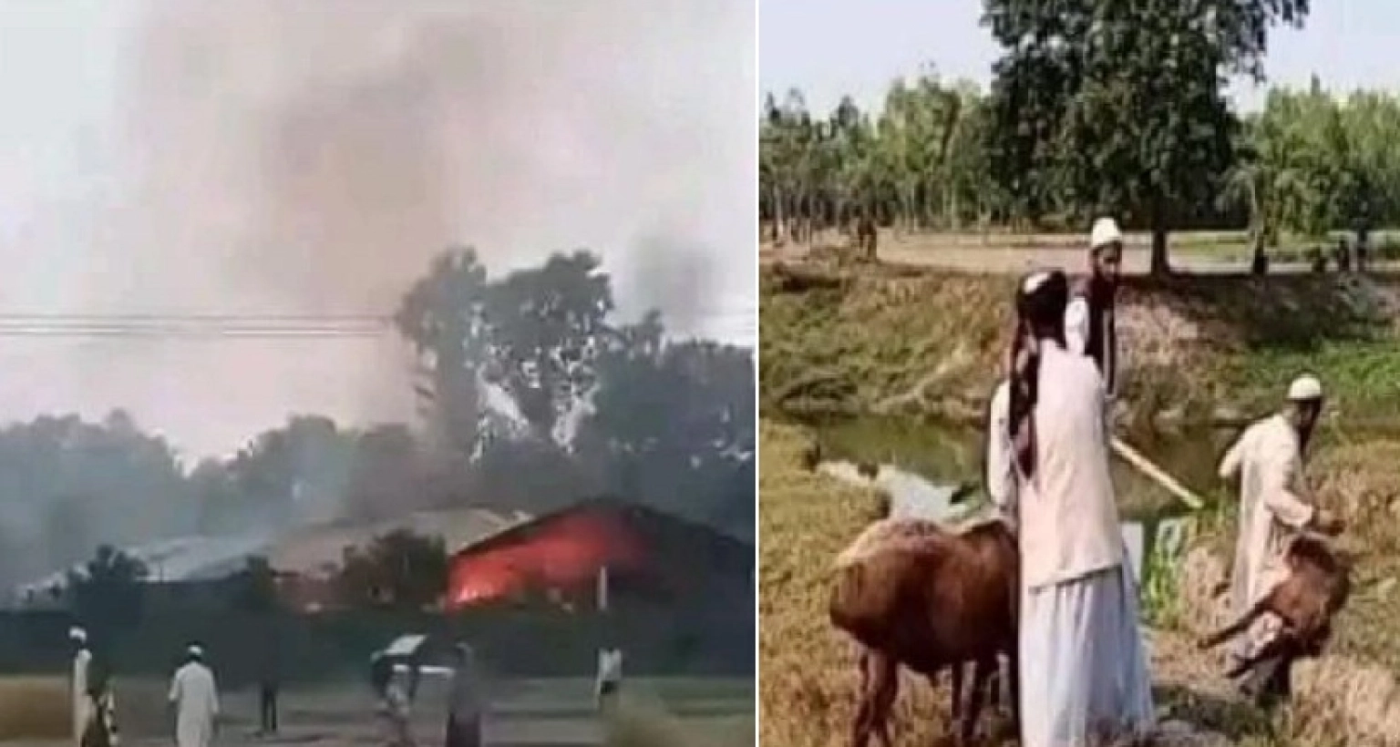 দোজা পীরের দরবারে হামলা, ভাঙচুর, অগ্নিসংযোগ, দুম্বা-গরু-মহিষ-ছাগলসহ সব লুট!