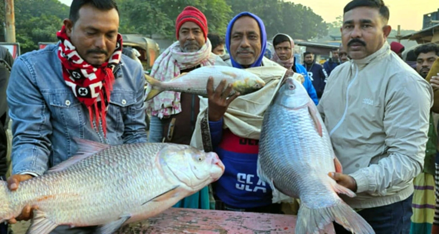 ২১ হাজার টাকায় বিক্রি হলো একটি কাতল মাছ 