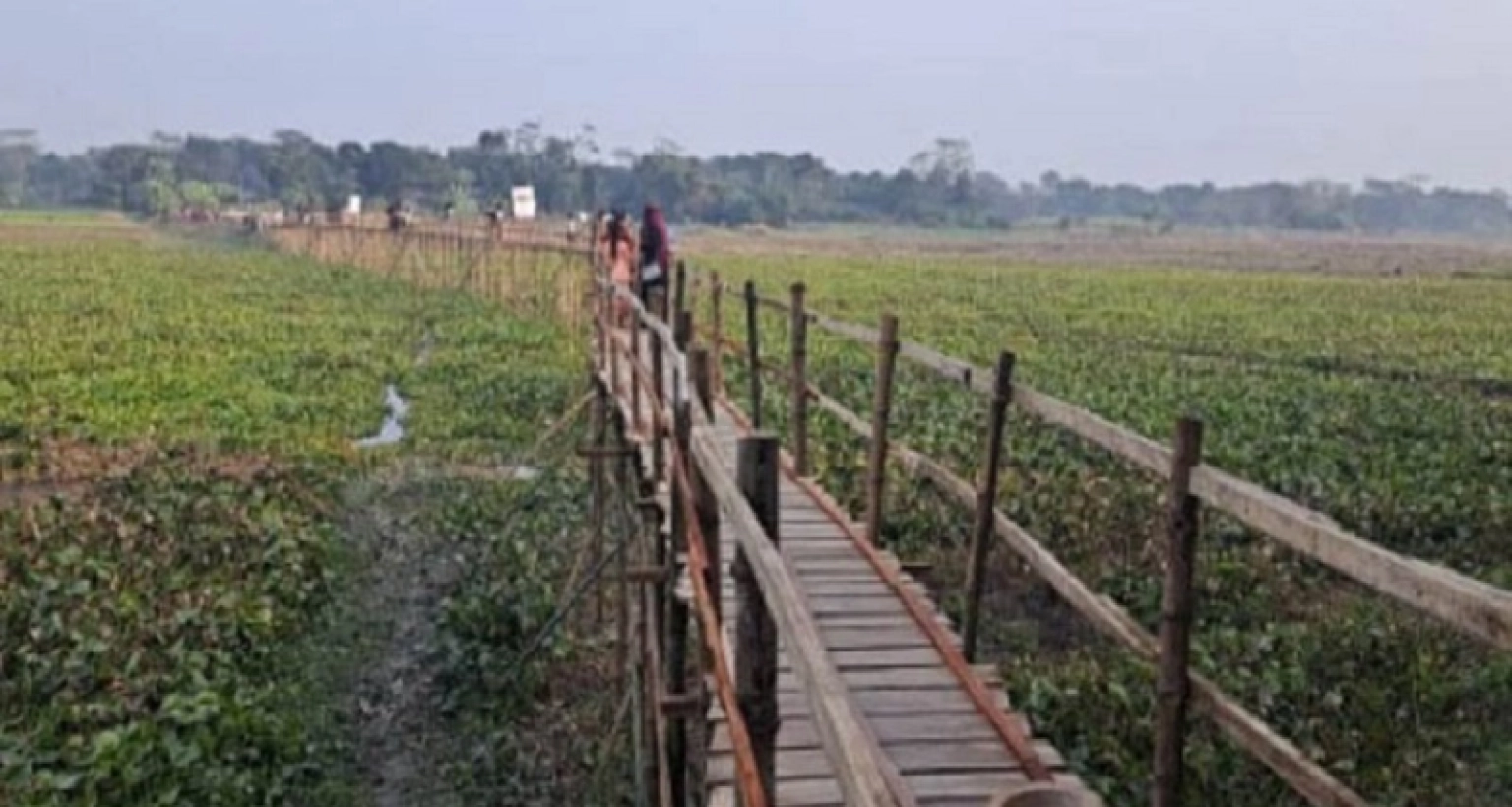 গ্রামের মানুষকে কাঠের সেতু উপহার দিলেন প্রবাসীরা