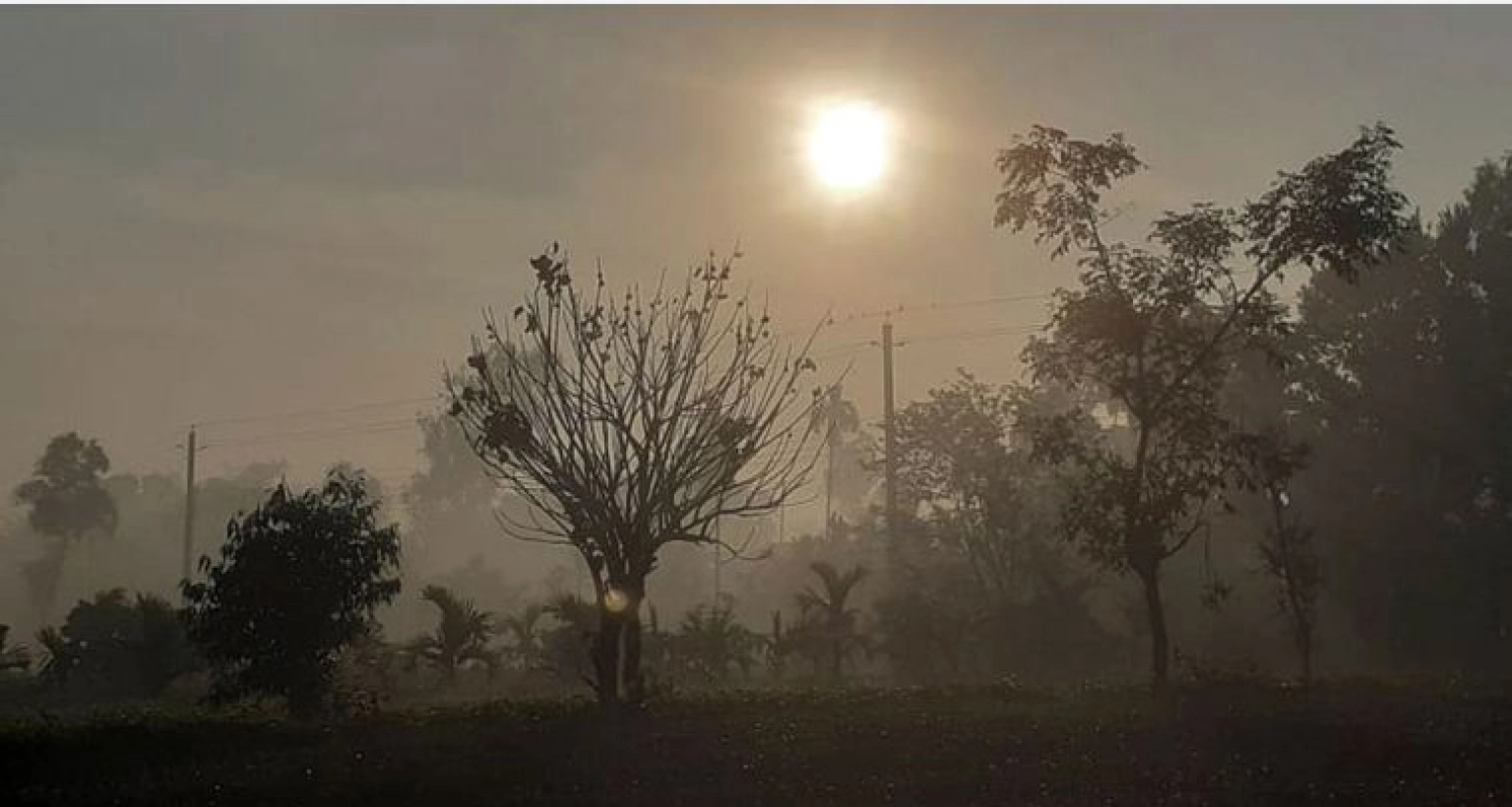 অবশেষে দুদিন পর সূর্যের দেখা মিলল আজ সকালেই