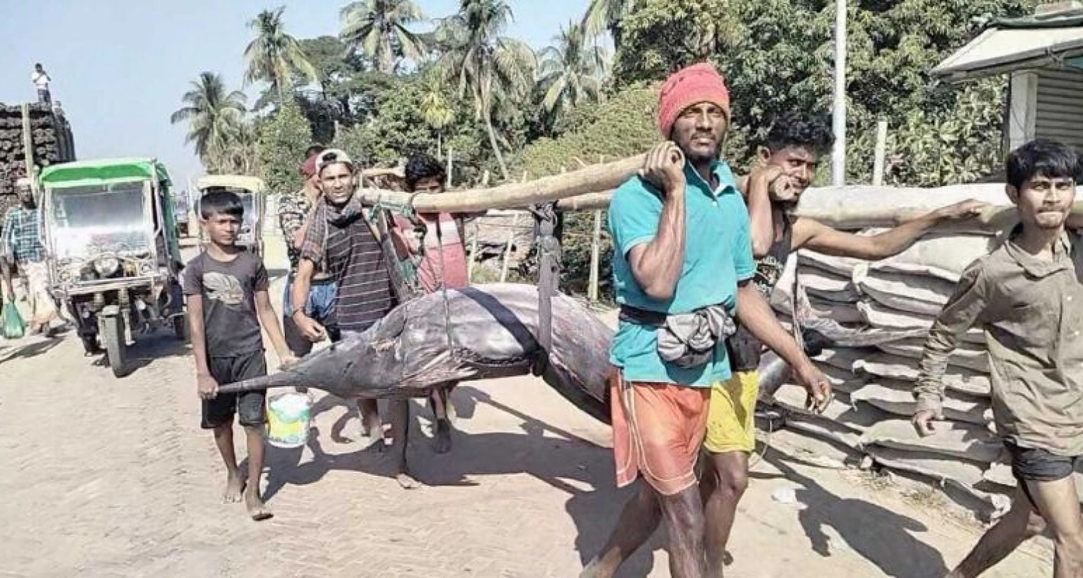 বিশাল মাছটি এক নজর দেখতে ভিড় জমায় শত শত মানুষ