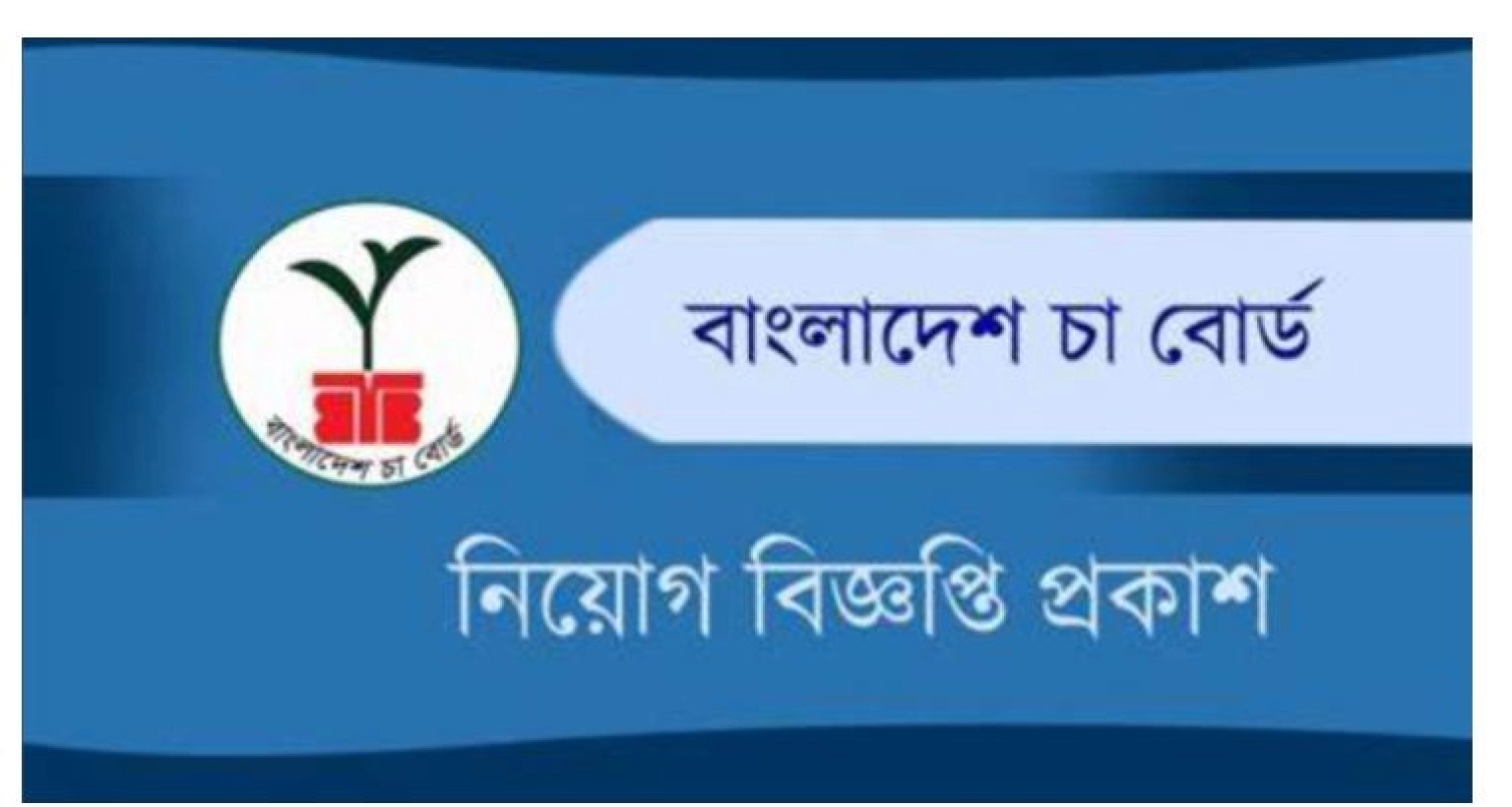 জনবল নিয়োগ দেওয়া হবে বাংলাদেশ চা বোর্ডের অধীনে