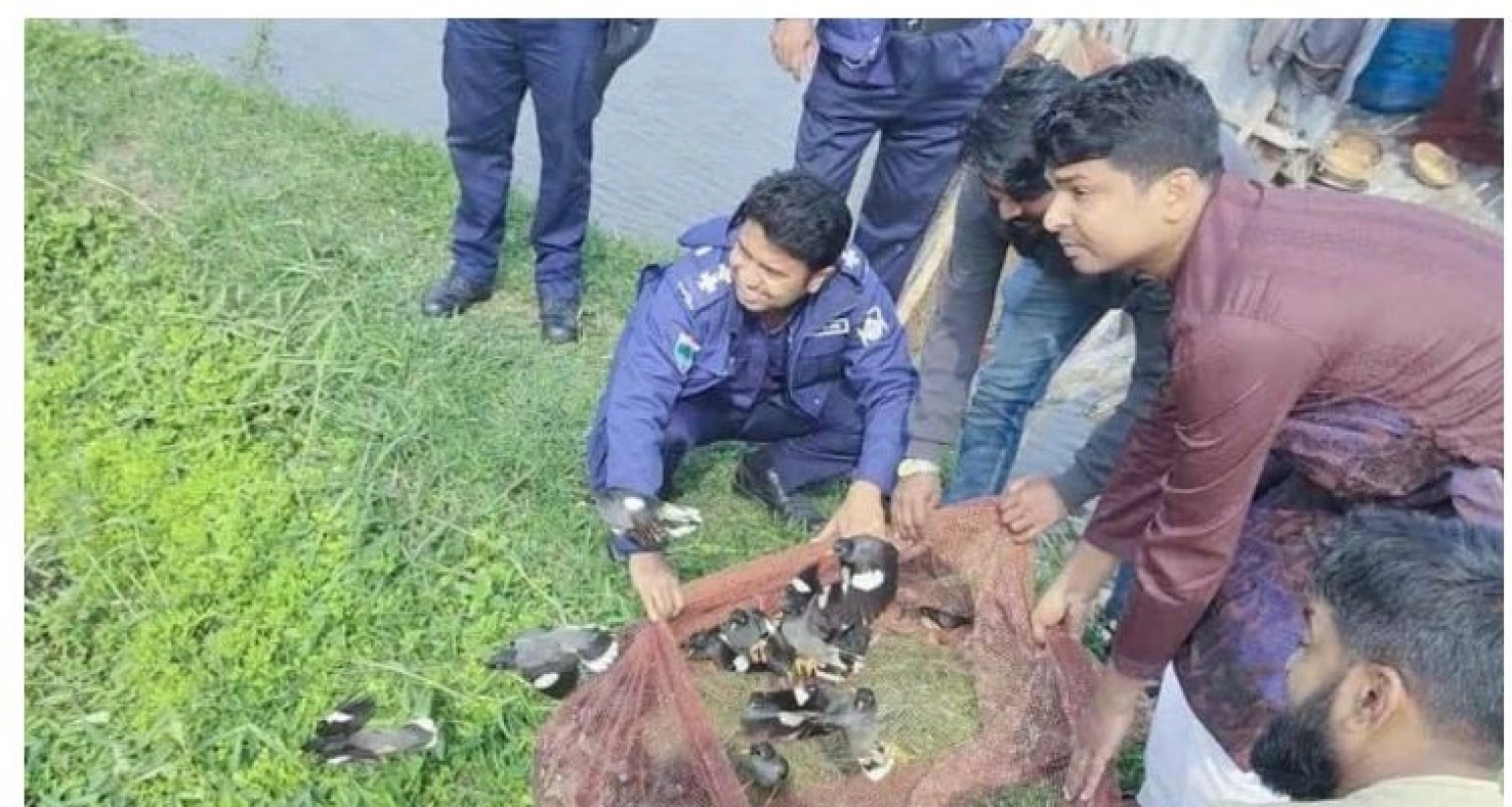 আটকে রাখা  ১২শ ঝুট শালিক পাখি উদ্ধার করে অবমুক্ত