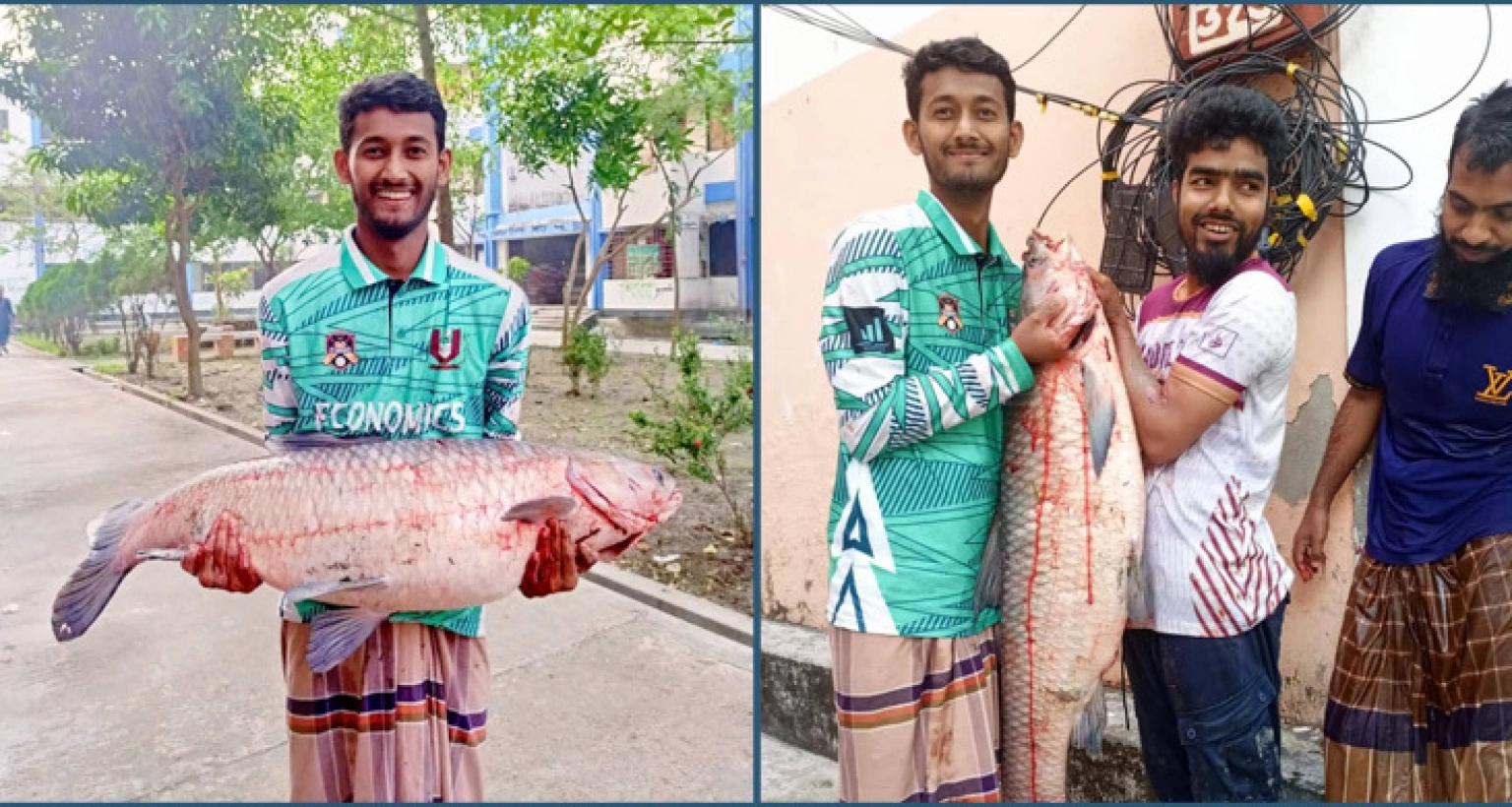 ২০ কেজির গ্রাস কার্প মাছ মিললো বিশ্ববিদ্যালয়ের লেকে 