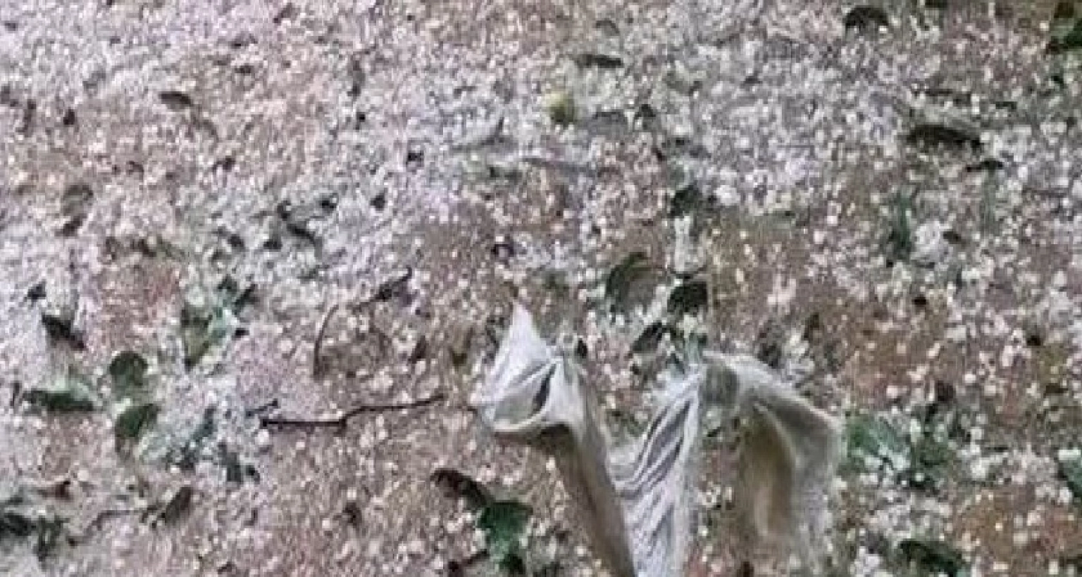 কয়েক মিনিটের শিলাবৃষ্টিতে দুই উপজেলার সর্বনাশ!