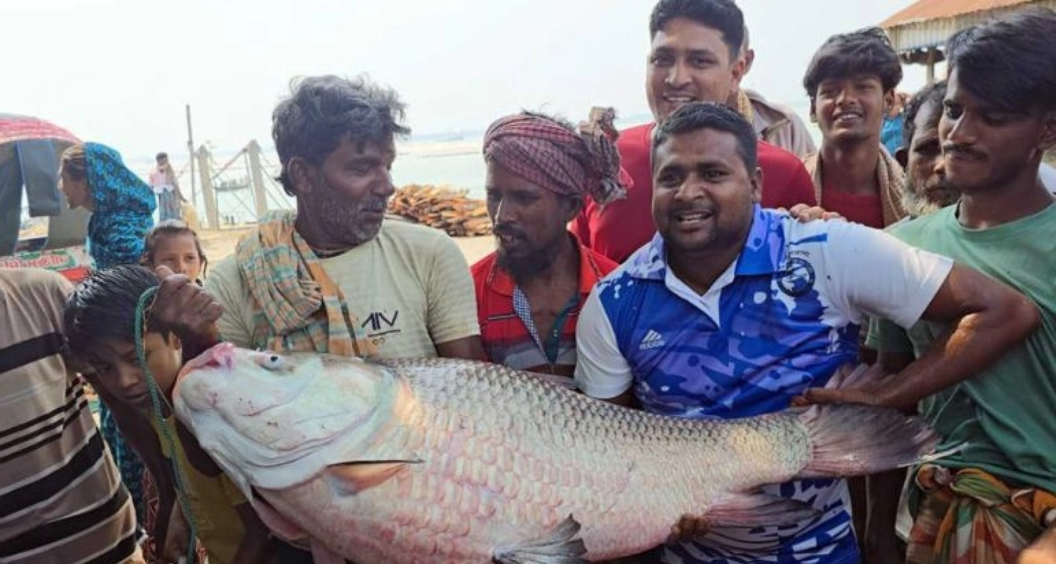 ৫০ হাজার ৪০০ টাকায় বিক্রি হলো এই কাতল মাছটি!