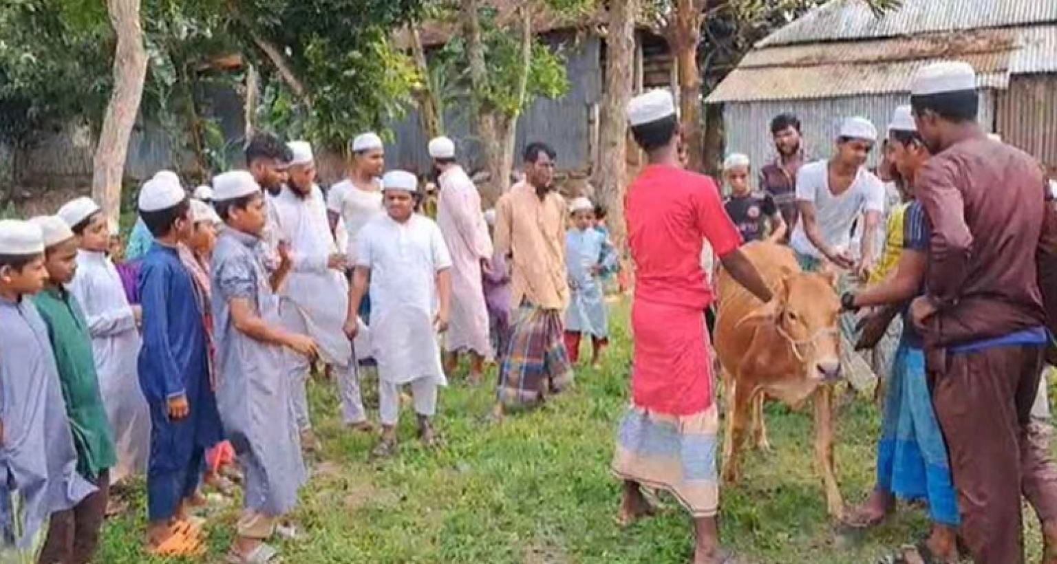 আ.লীগ নিষিদ্ধে গরু জবাই করে বিরিয়ানি খাওয়ালেন রফিকুল ইসলাম মাদানী