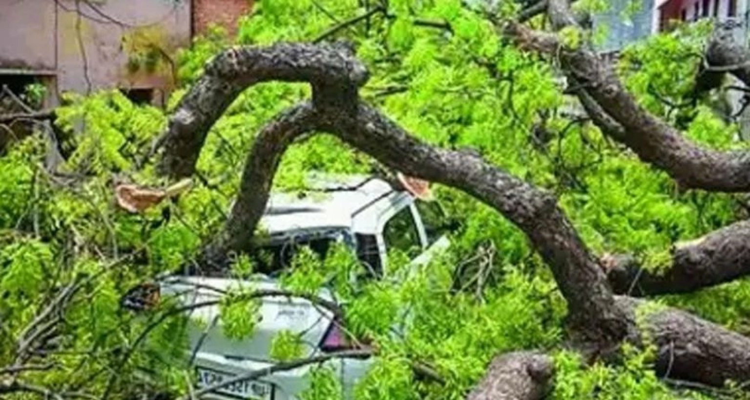 বজ্রপাত ও ঝড়ে ৪৫ জনের মৃত্যু