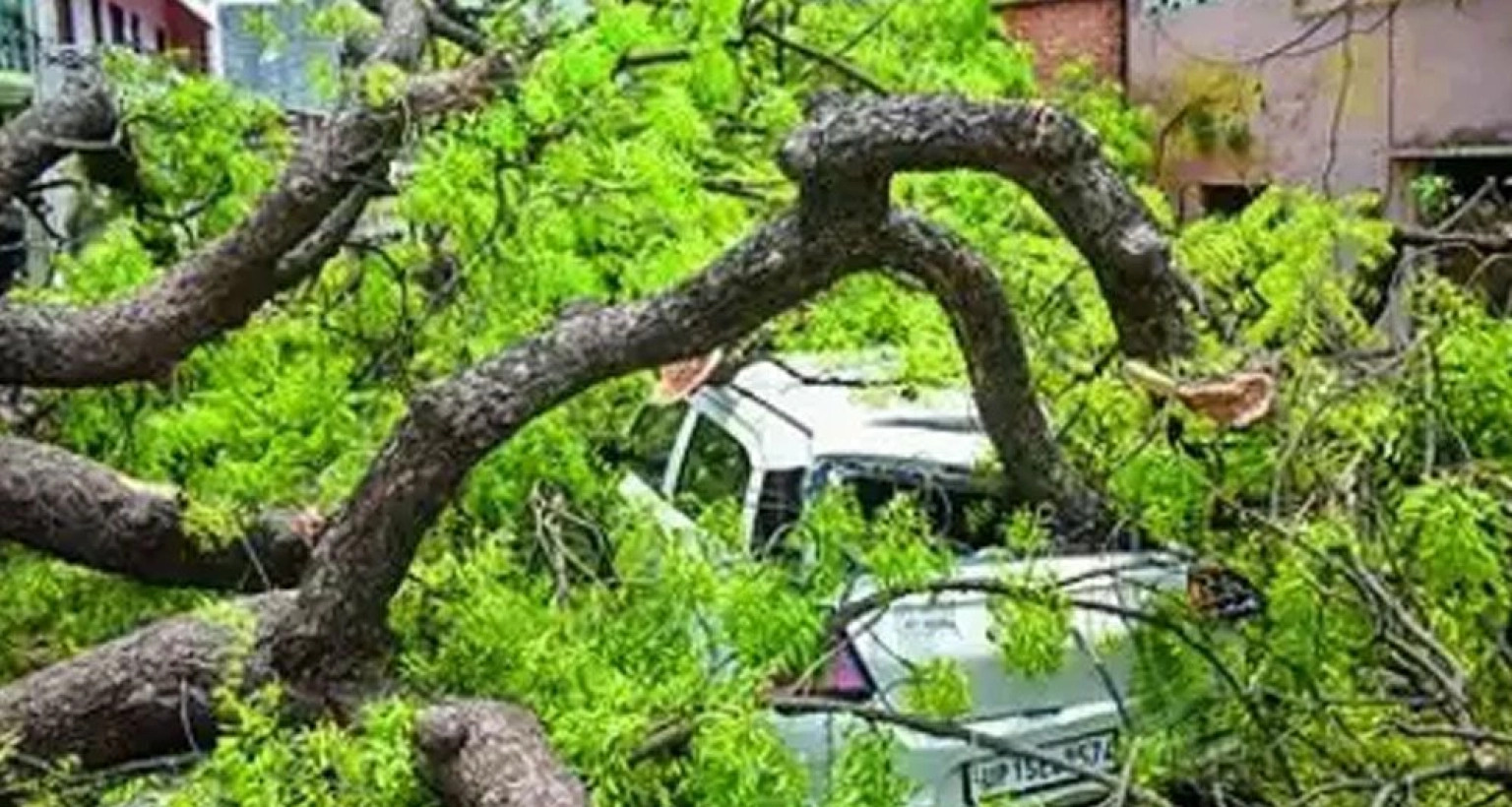 ভারতে বজ্রপাত ও ঝড়ে ৪৫ জনের প্রাণহানি